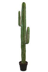 CACTUS ARTIFICIAL CON MACETA 150CM