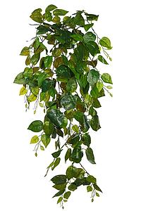 PLANTA POTHO COLGANTE ARTIFICIAL 90CM