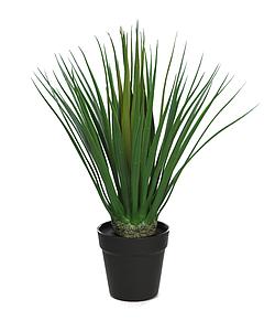 DRACENA ARTIFICIAL 50CM