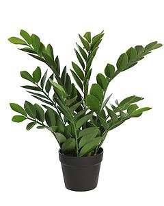 ZAMIOCULCAS ARTIFICIAL EN MACETA 52CM