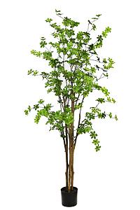 ENKIANTHUS ARTIFICIAL CON MACETA 180CM