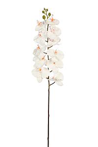 VARA DE ORQUIDEA ARTIFICIAL 94CM