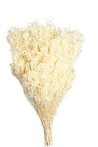 POMO BROOM 100 GR 50CM