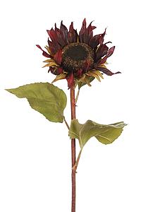 GIRASOL BURDEOS ALT. 85CM ø 17CM