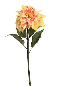 VARA PONSETIA TALLO 60CM